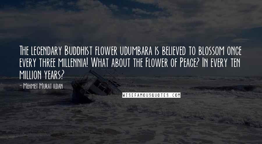 Mehmet Murat Ildan Quotes: The legendary Buddhist flower udumbara is believed to blossom once every three millennia! What about the Flower of Peace? In every ten million years?