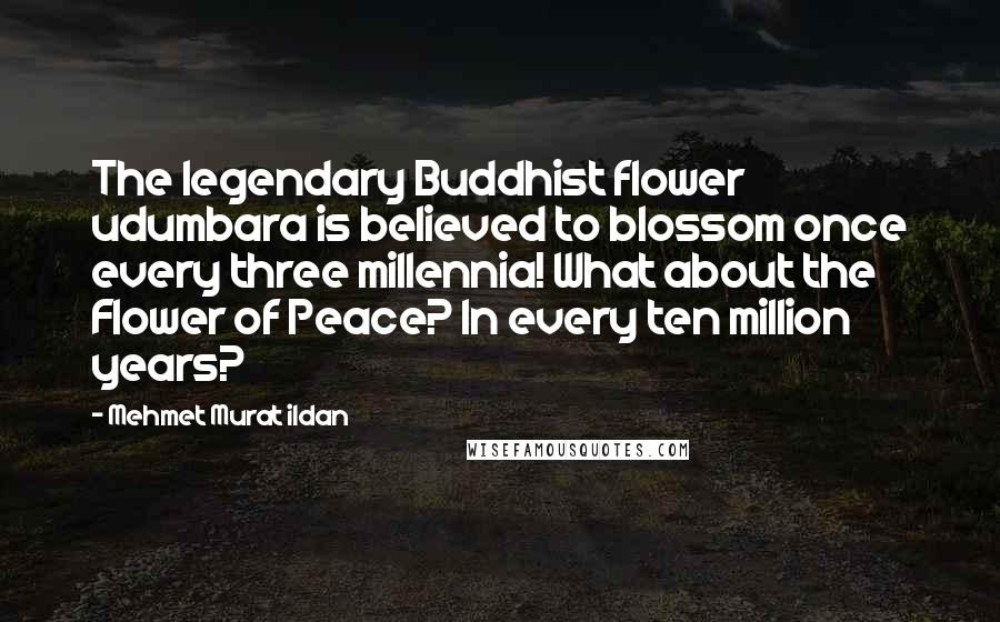 Mehmet Murat Ildan Quotes: The legendary Buddhist flower udumbara is believed to blossom once every three millennia! What about the Flower of Peace? In every ten million years?