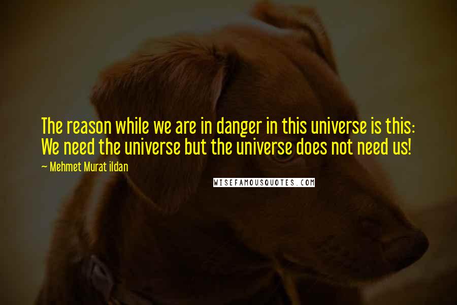 Mehmet Murat Ildan Quotes: The reason while we are in danger in this universe is this: We need the universe but the universe does not need us!