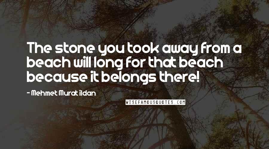 Mehmet Murat Ildan Quotes: The stone you took away from a beach will long for that beach because it belongs there!