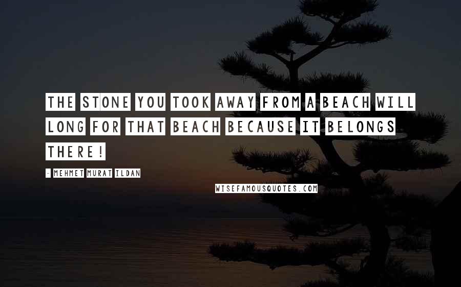 Mehmet Murat Ildan Quotes: The stone you took away from a beach will long for that beach because it belongs there!