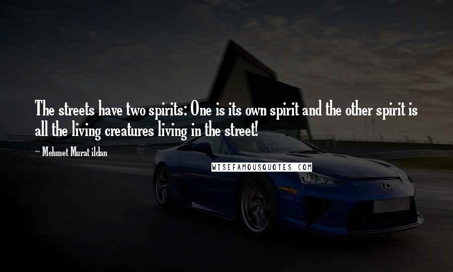 Mehmet Murat Ildan Quotes: The streets have two spirits: One is its own spirit and the other spirit is all the living creatures living in the street!