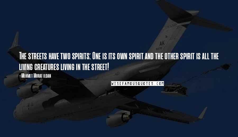 Mehmet Murat Ildan Quotes: The streets have two spirits: One is its own spirit and the other spirit is all the living creatures living in the street!