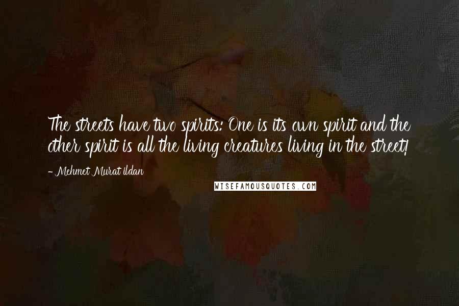 Mehmet Murat Ildan Quotes: The streets have two spirits: One is its own spirit and the other spirit is all the living creatures living in the street!