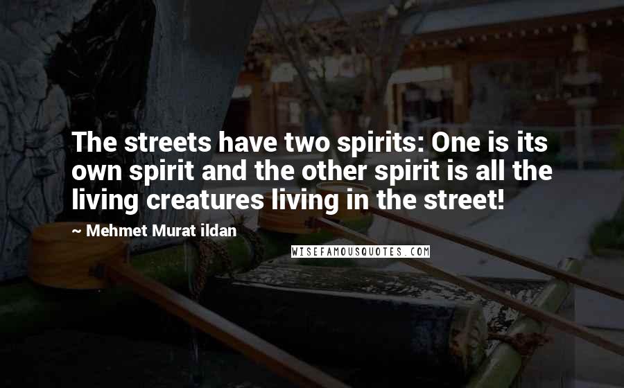 Mehmet Murat Ildan Quotes: The streets have two spirits: One is its own spirit and the other spirit is all the living creatures living in the street!