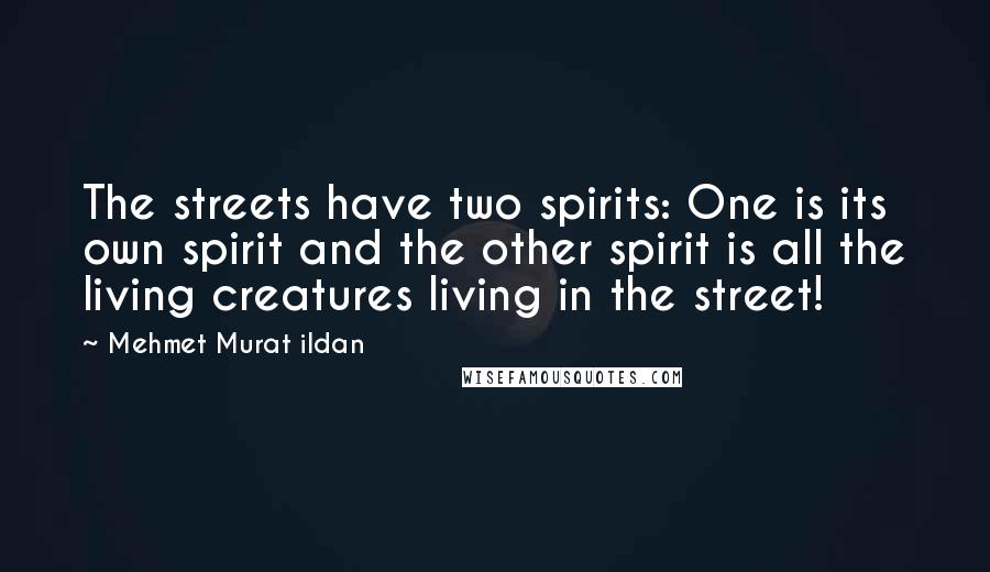 Mehmet Murat Ildan Quotes: The streets have two spirits: One is its own spirit and the other spirit is all the living creatures living in the street!