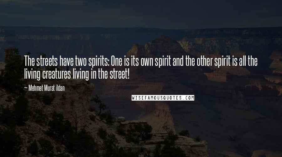 Mehmet Murat Ildan Quotes: The streets have two spirits: One is its own spirit and the other spirit is all the living creatures living in the street!