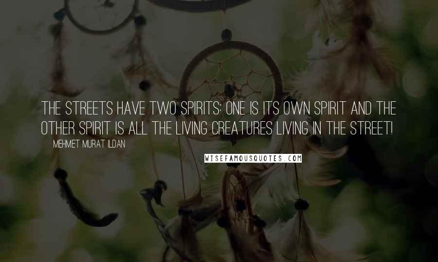 Mehmet Murat Ildan Quotes: The streets have two spirits: One is its own spirit and the other spirit is all the living creatures living in the street!