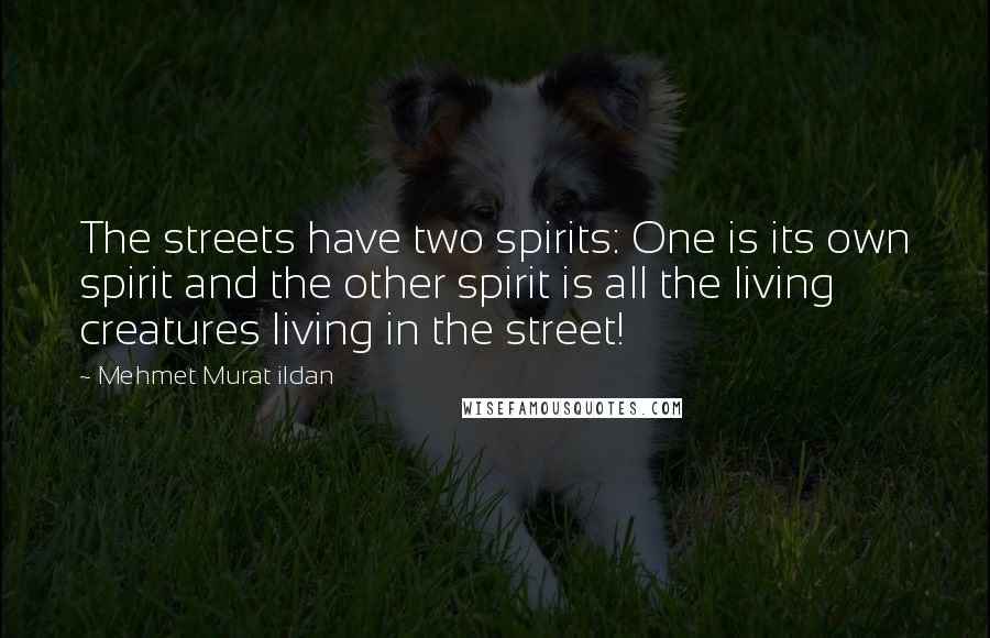 Mehmet Murat Ildan Quotes: The streets have two spirits: One is its own spirit and the other spirit is all the living creatures living in the street!