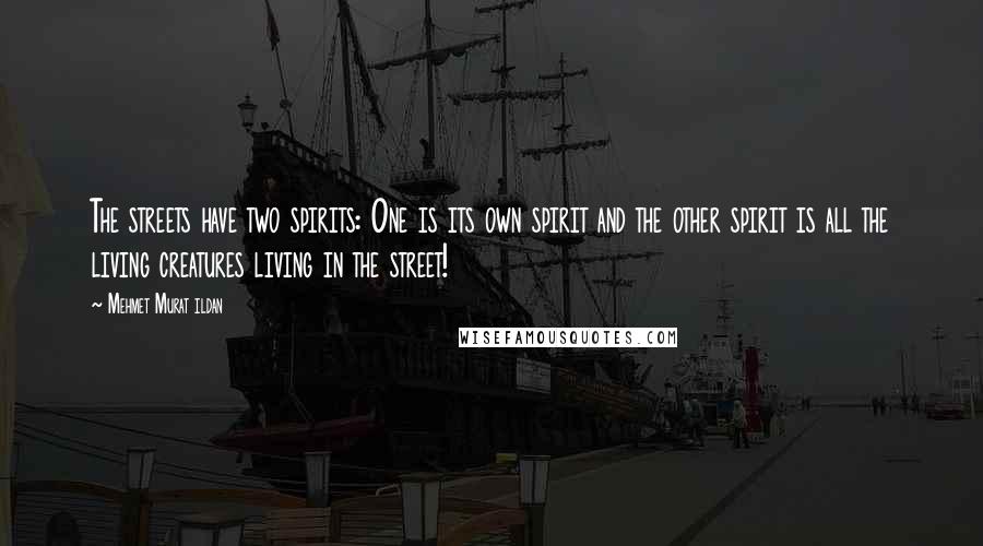 Mehmet Murat Ildan Quotes: The streets have two spirits: One is its own spirit and the other spirit is all the living creatures living in the street!