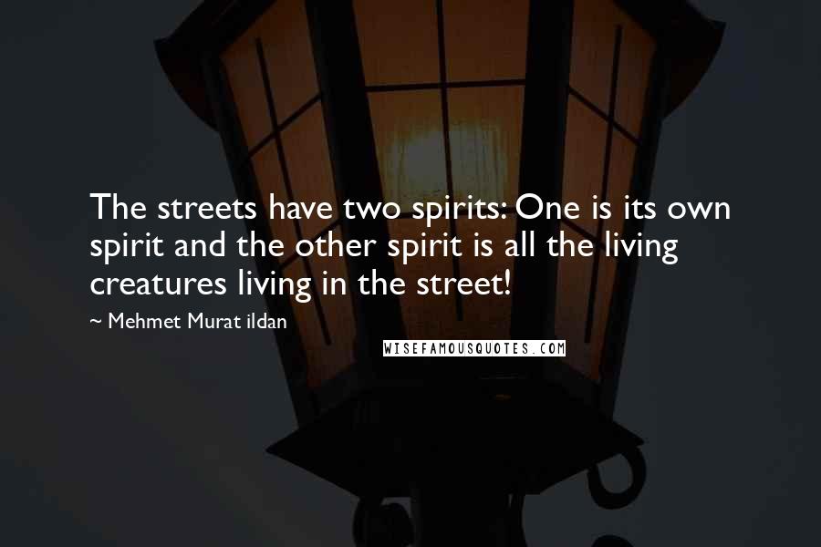 Mehmet Murat Ildan Quotes: The streets have two spirits: One is its own spirit and the other spirit is all the living creatures living in the street!