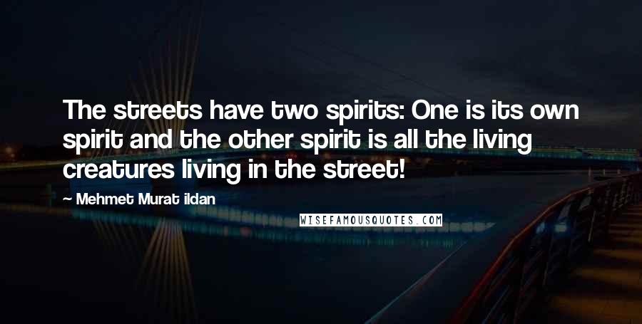 Mehmet Murat Ildan Quotes: The streets have two spirits: One is its own spirit and the other spirit is all the living creatures living in the street!