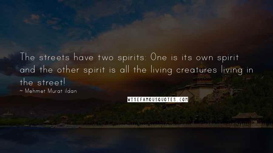 Mehmet Murat Ildan Quotes: The streets have two spirits: One is its own spirit and the other spirit is all the living creatures living in the street!