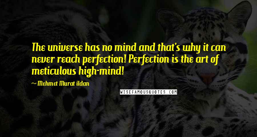 Mehmet Murat Ildan Quotes: The universe has no mind and that's why it can never reach perfection! Perfection is the art of meticulous high-mind!