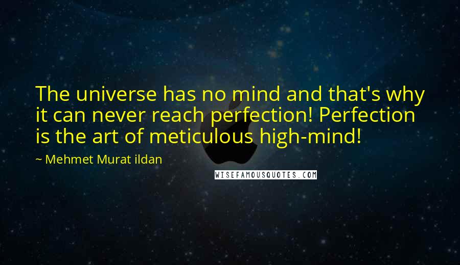 Mehmet Murat Ildan Quotes: The universe has no mind and that's why it can never reach perfection! Perfection is the art of meticulous high-mind!