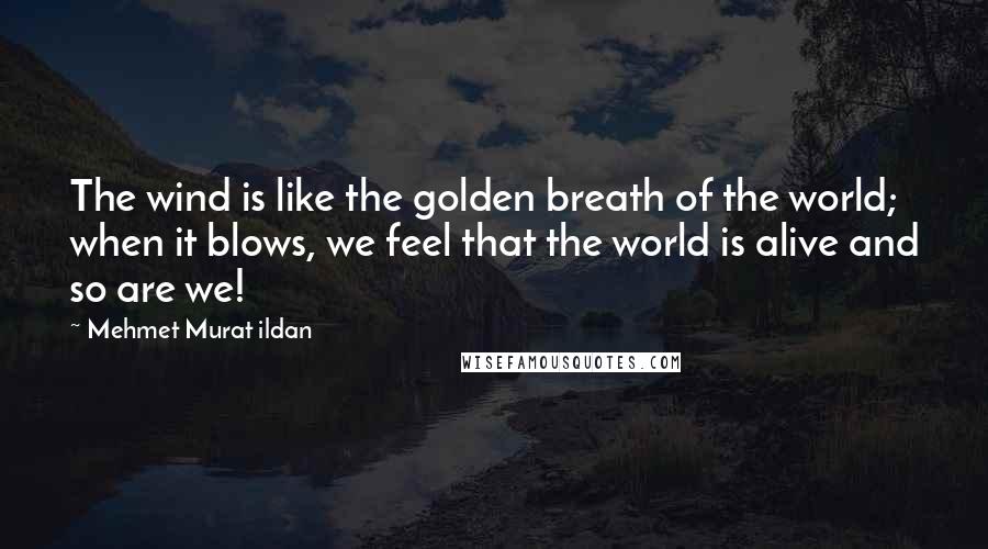 Mehmet Murat Ildan Quotes: The wind is like the golden breath of the world; when it blows, we feel that the world is alive and so are we!