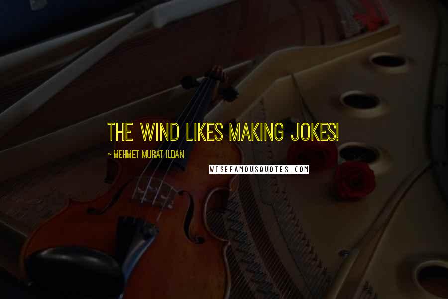 Mehmet Murat Ildan Quotes: The wind likes making jokes!