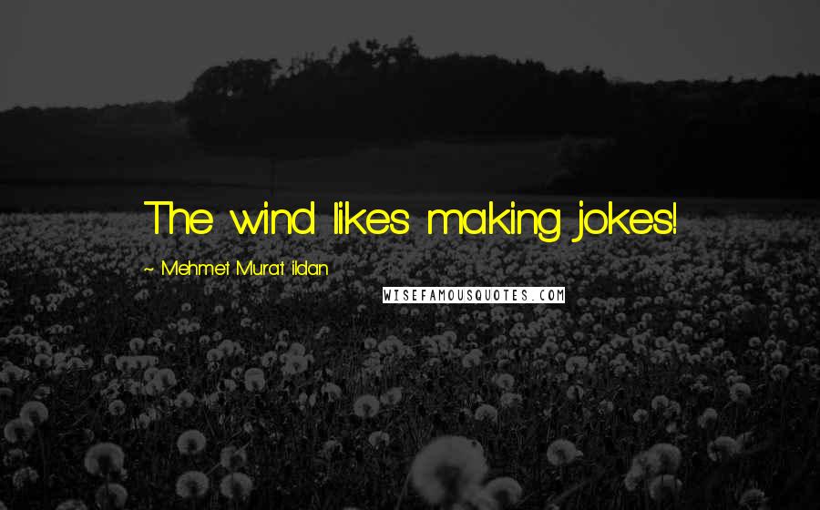 Mehmet Murat Ildan Quotes: The wind likes making jokes!