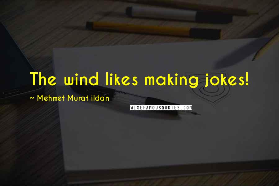 Mehmet Murat Ildan Quotes: The wind likes making jokes!