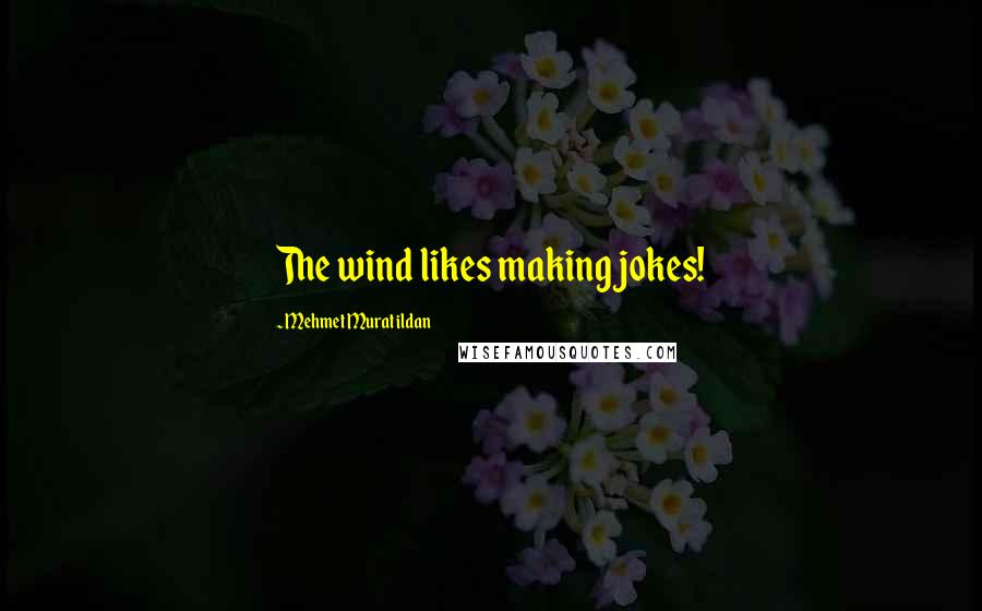 Mehmet Murat Ildan Quotes: The wind likes making jokes!