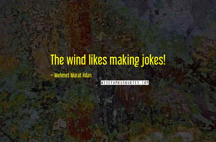 Mehmet Murat Ildan Quotes: The wind likes making jokes!