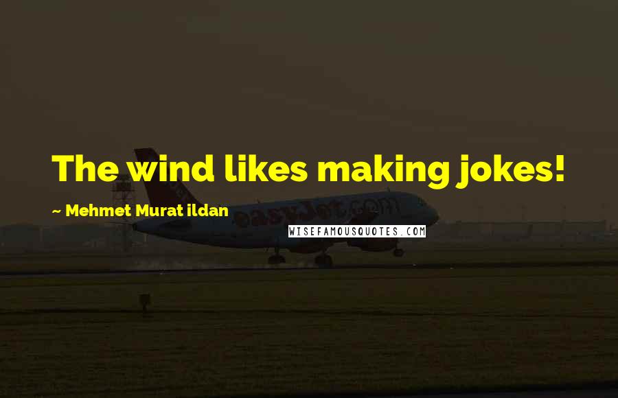 Mehmet Murat Ildan Quotes: The wind likes making jokes!