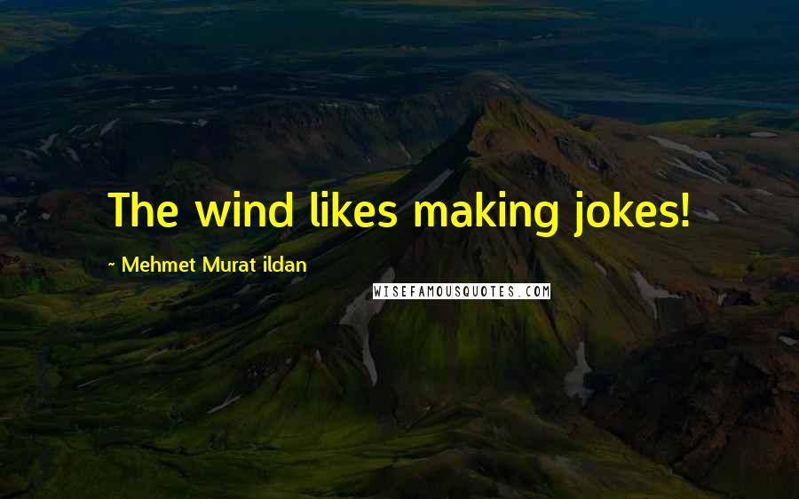 Mehmet Murat Ildan Quotes: The wind likes making jokes!