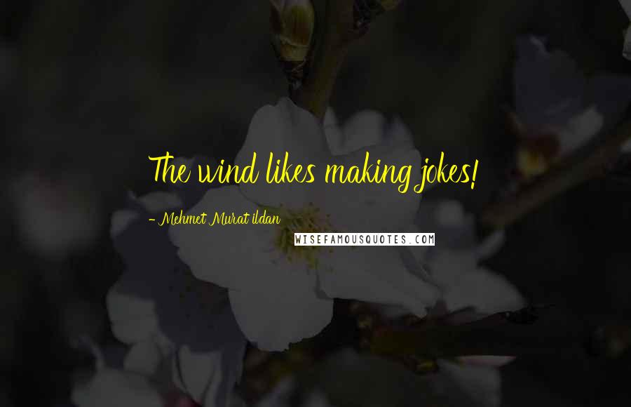 Mehmet Murat Ildan Quotes: The wind likes making jokes!