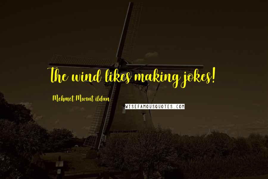 Mehmet Murat Ildan Quotes: The wind likes making jokes!