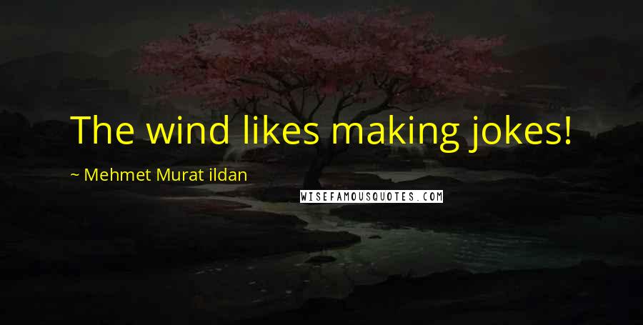 Mehmet Murat Ildan Quotes: The wind likes making jokes!