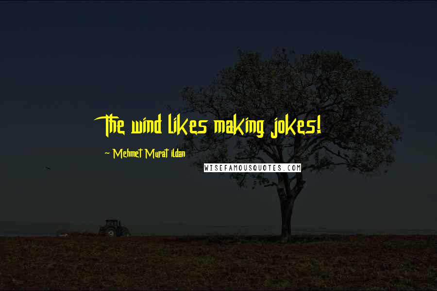 Mehmet Murat Ildan Quotes: The wind likes making jokes!