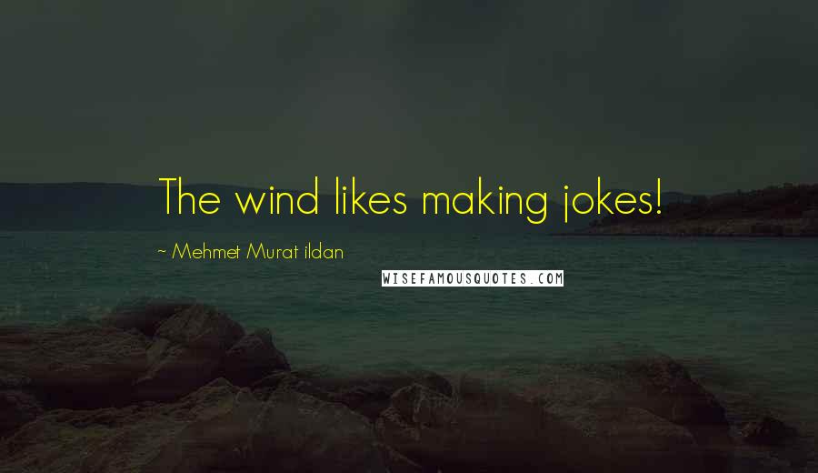 Mehmet Murat Ildan Quotes: The wind likes making jokes!