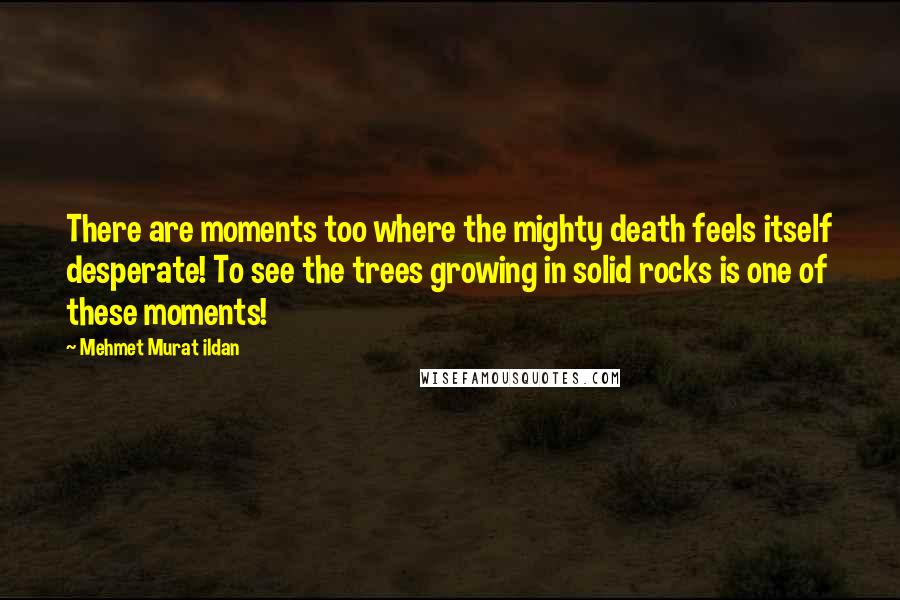 Mehmet Murat Ildan Quotes: There are moments too where the mighty death feels itself desperate! To see the trees growing in solid rocks is one of these moments!