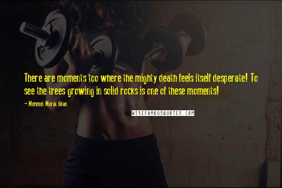 Mehmet Murat Ildan Quotes: There are moments too where the mighty death feels itself desperate! To see the trees growing in solid rocks is one of these moments!