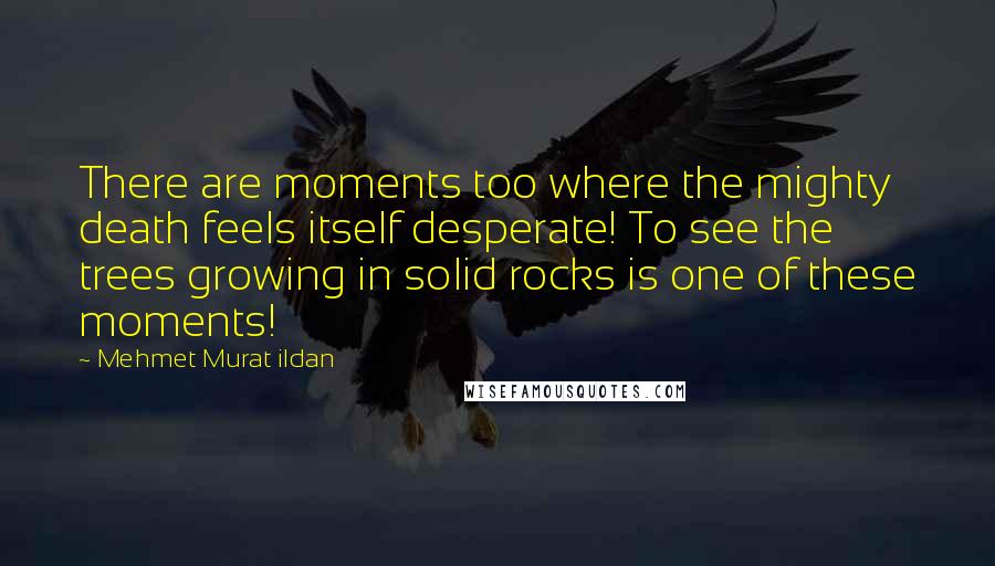 Mehmet Murat Ildan Quotes: There are moments too where the mighty death feels itself desperate! To see the trees growing in solid rocks is one of these moments!