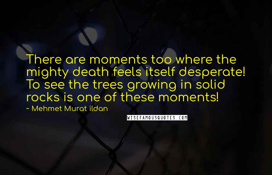 Mehmet Murat Ildan Quotes: There are moments too where the mighty death feels itself desperate! To see the trees growing in solid rocks is one of these moments!