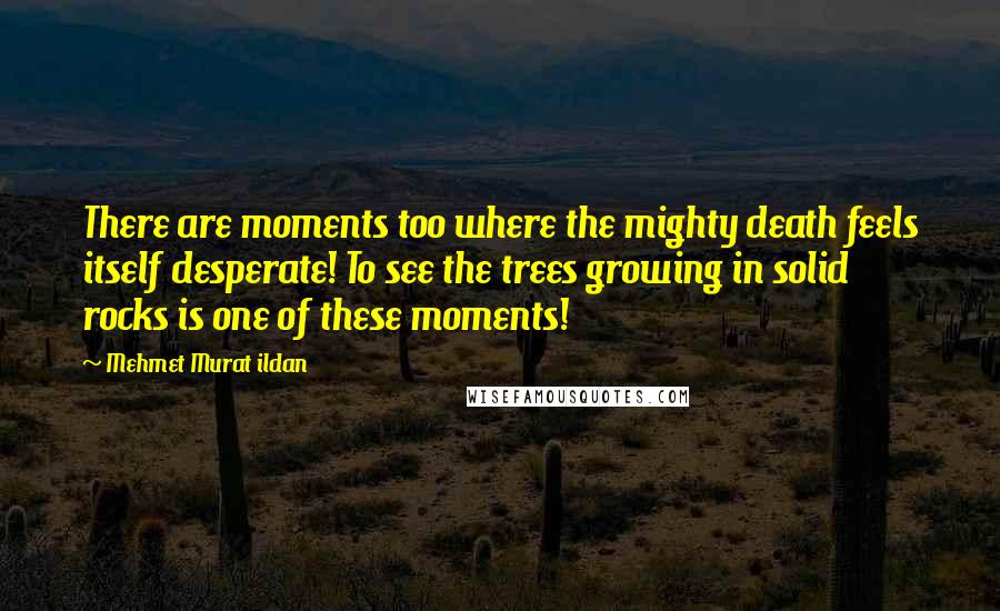 Mehmet Murat Ildan Quotes: There are moments too where the mighty death feels itself desperate! To see the trees growing in solid rocks is one of these moments!