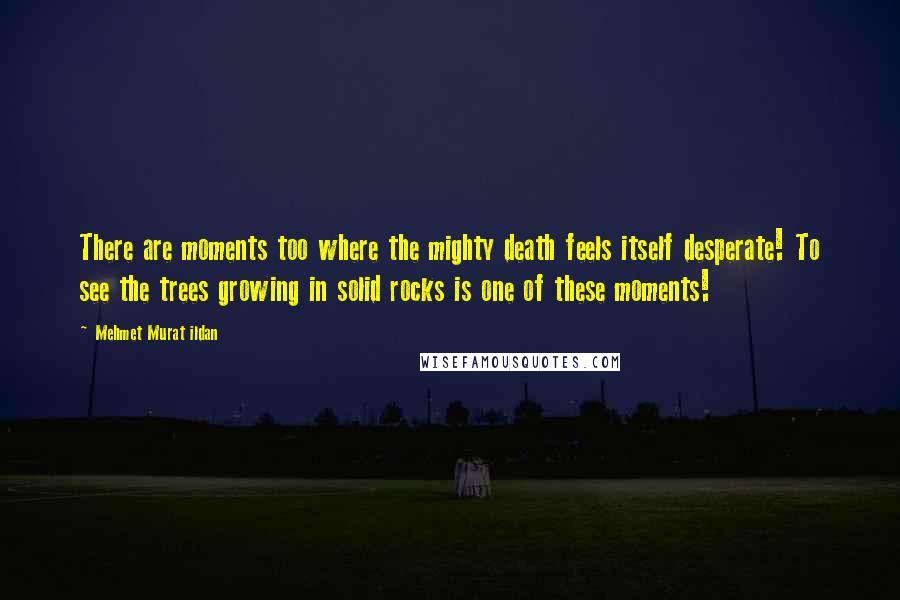 Mehmet Murat Ildan Quotes: There are moments too where the mighty death feels itself desperate! To see the trees growing in solid rocks is one of these moments!