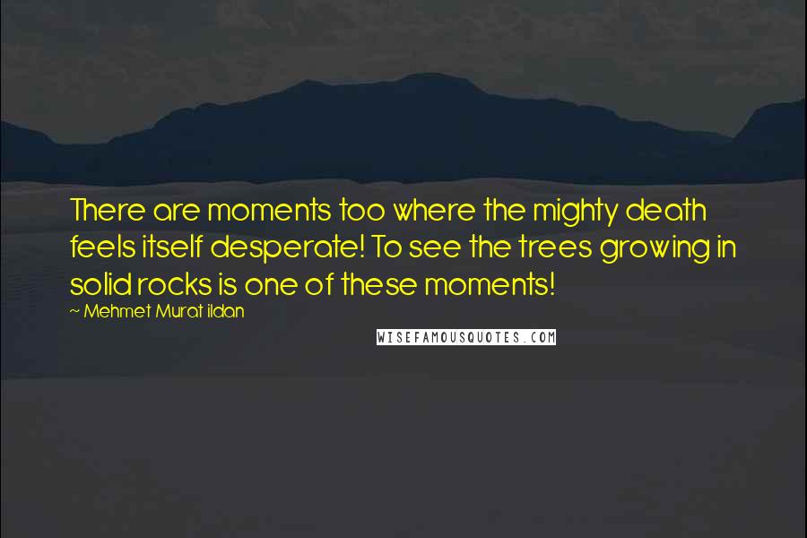 Mehmet Murat Ildan Quotes: There are moments too where the mighty death feels itself desperate! To see the trees growing in solid rocks is one of these moments!