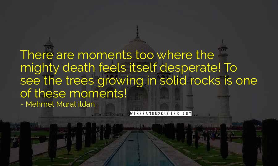 Mehmet Murat Ildan Quotes: There are moments too where the mighty death feels itself desperate! To see the trees growing in solid rocks is one of these moments!