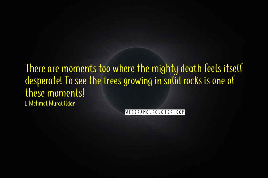 Mehmet Murat Ildan Quotes: There are moments too where the mighty death feels itself desperate! To see the trees growing in solid rocks is one of these moments!