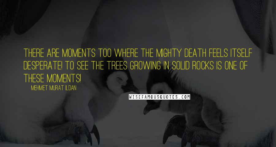 Mehmet Murat Ildan Quotes: There are moments too where the mighty death feels itself desperate! To see the trees growing in solid rocks is one of these moments!