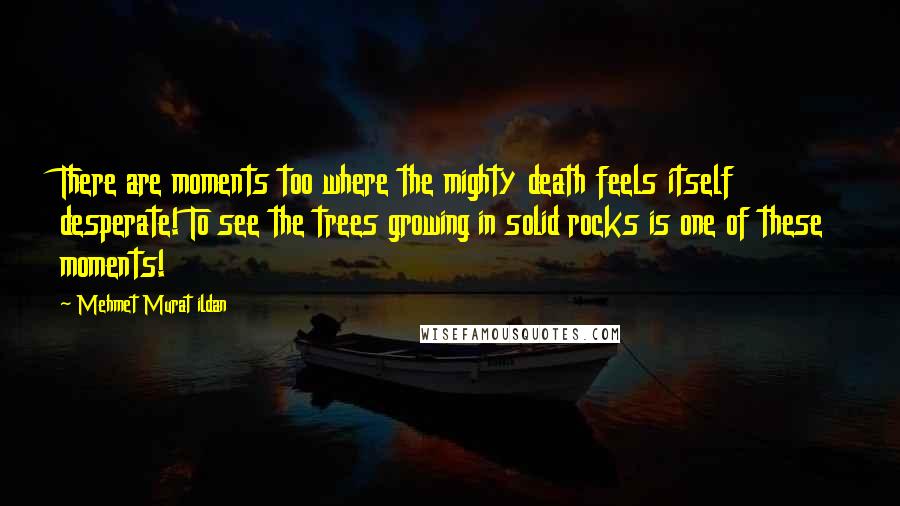Mehmet Murat Ildan Quotes: There are moments too where the mighty death feels itself desperate! To see the trees growing in solid rocks is one of these moments!
