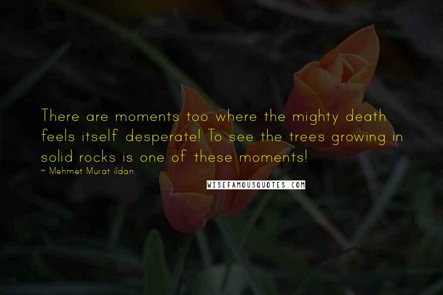 Mehmet Murat Ildan Quotes: There are moments too where the mighty death feels itself desperate! To see the trees growing in solid rocks is one of these moments!