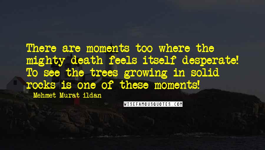 Mehmet Murat Ildan Quotes: There are moments too where the mighty death feels itself desperate! To see the trees growing in solid rocks is one of these moments!