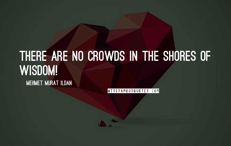 Mehmet Murat Ildan Quotes: There are no crowds in the shores of wisdom!