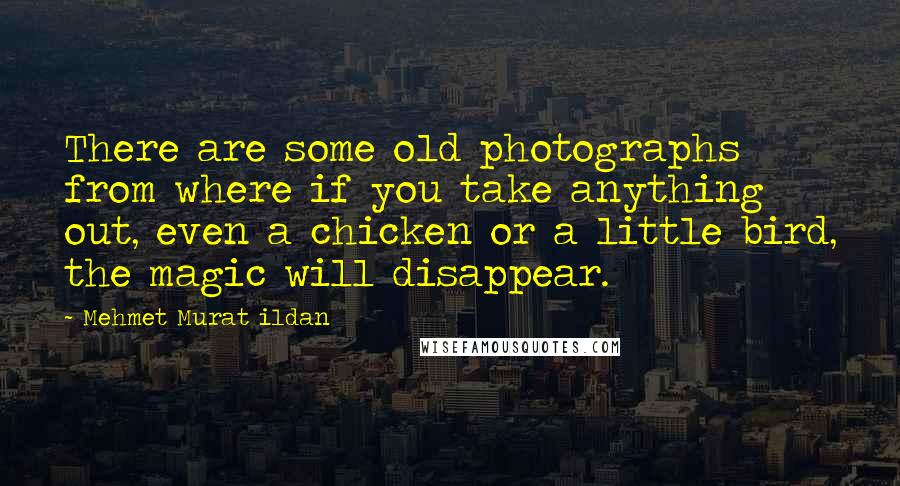 Mehmet Murat Ildan Quotes: There are some old photographs from where if you take anything out, even a chicken or a little bird, the magic will disappear.