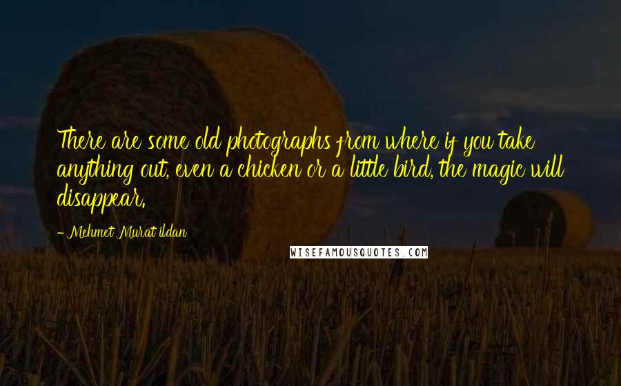 Mehmet Murat Ildan Quotes: There are some old photographs from where if you take anything out, even a chicken or a little bird, the magic will disappear.