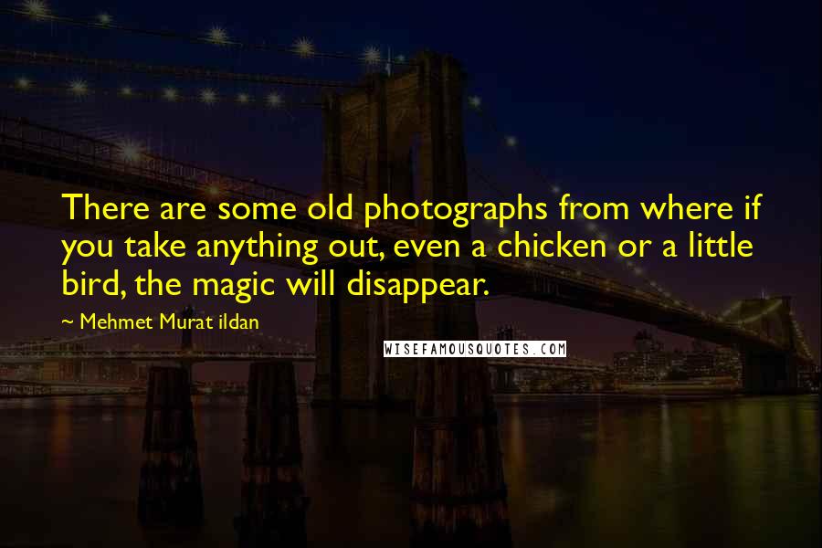 Mehmet Murat Ildan Quotes: There are some old photographs from where if you take anything out, even a chicken or a little bird, the magic will disappear.