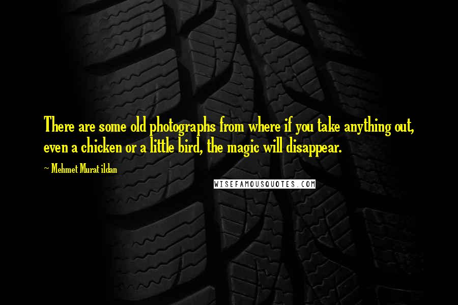 Mehmet Murat Ildan Quotes: There are some old photographs from where if you take anything out, even a chicken or a little bird, the magic will disappear.